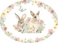 Image Not Available